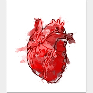 Watercolor Human Heart Posters and Art